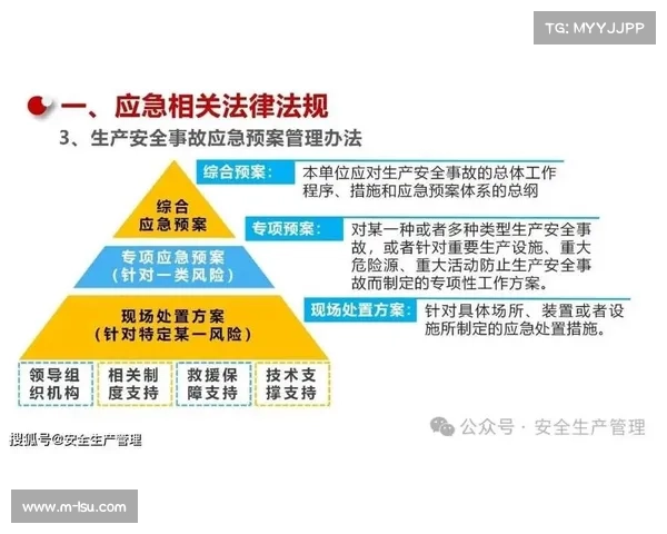 应急预案体系不断完善，提高风险应对能力